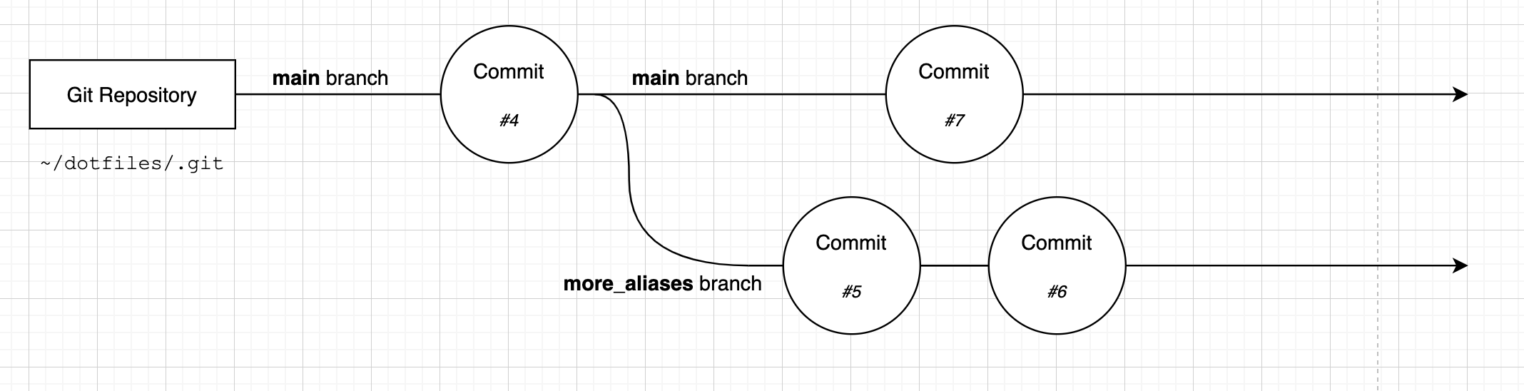 A diagram showing two diverged branches