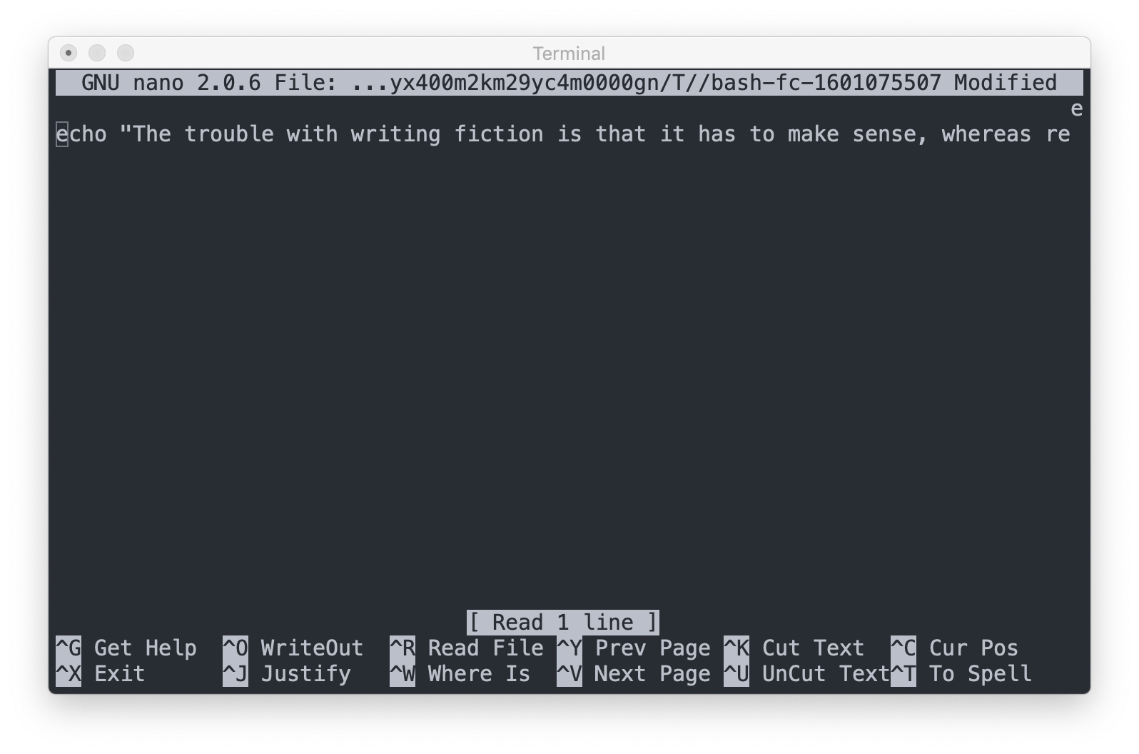 Screenshot: The Nano Editor