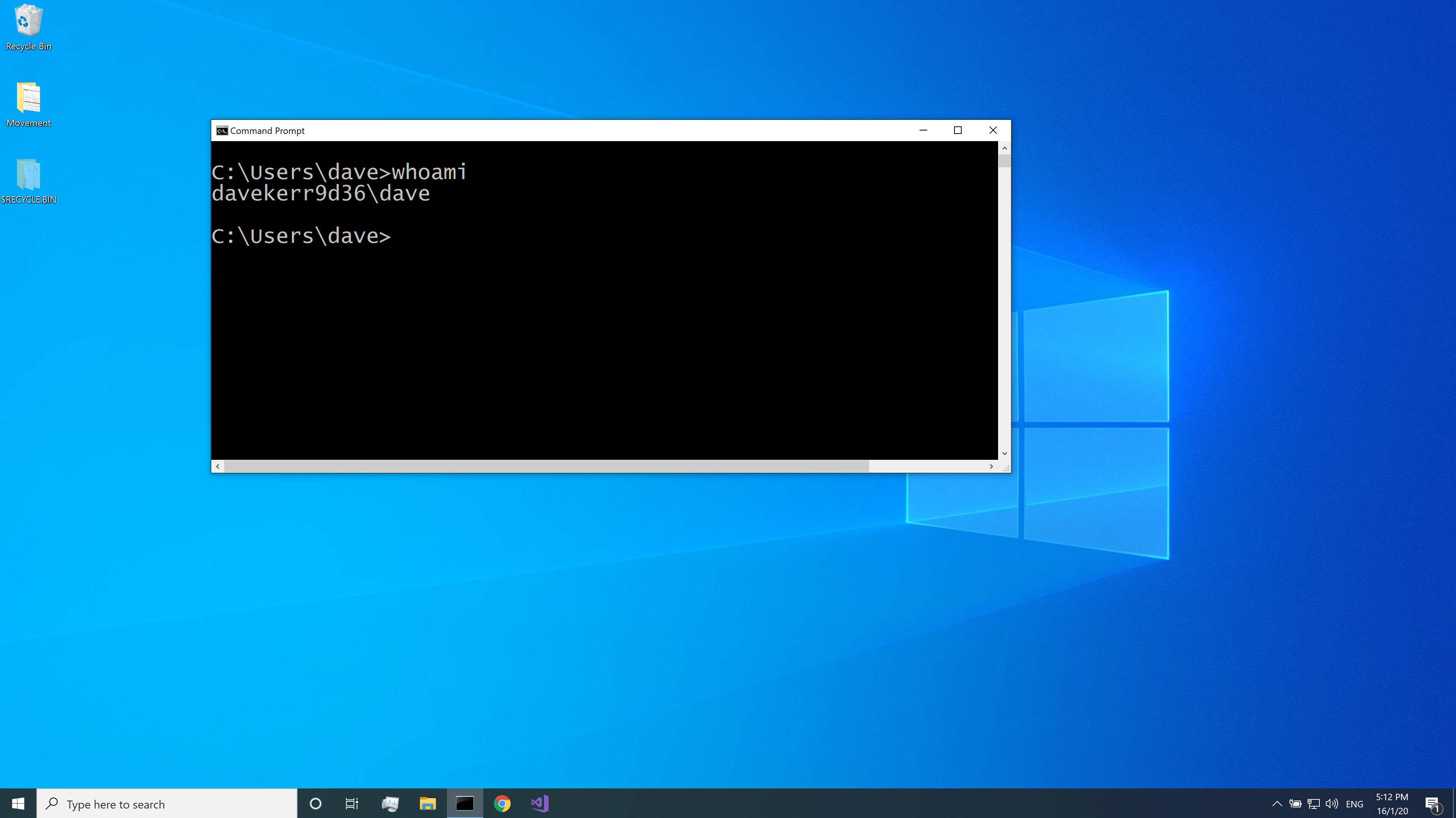 Screenshot: whoami on Windows